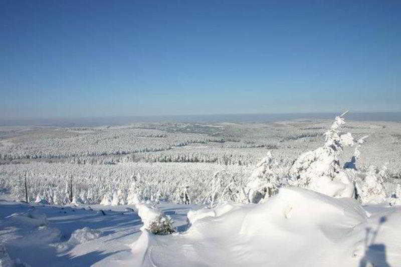 Ahorn Waldhotel Altenberg ภายนอก รูปภาพ